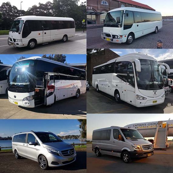 Luxury Mini Coaches